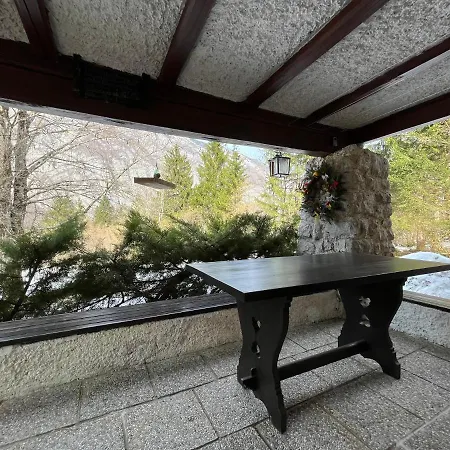 Red Beech - An Alpine Near * Bohinj