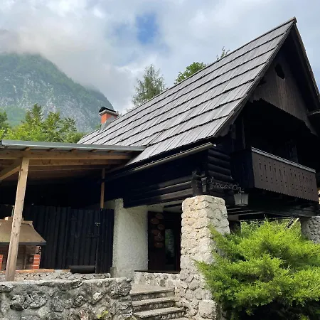 Chalet Red Beech - & Triglav National Park Retreat *