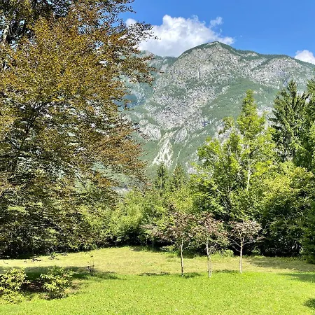Red Beech - & Triglav National Park Retreat *