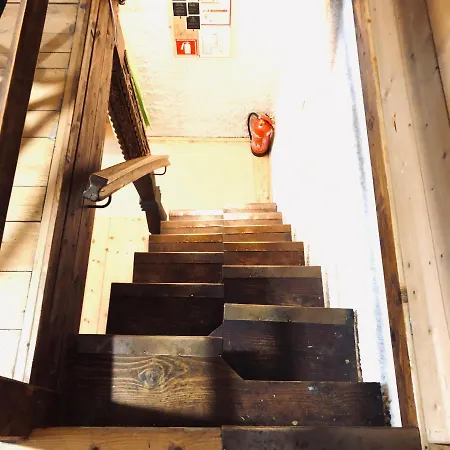 Red Beech - An Alpine Near Chalet Bohinj