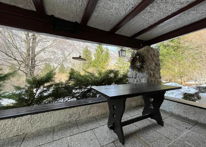 Red Beech - An Alpine Near * Bohinj