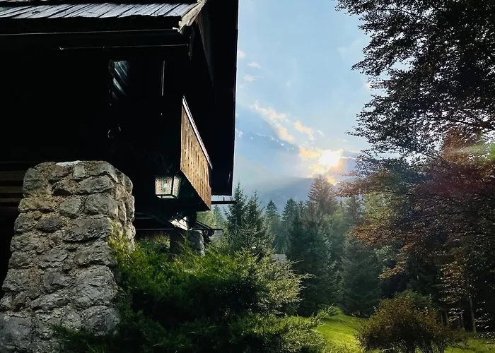 Red Beech - An Alpine Near Bohinj