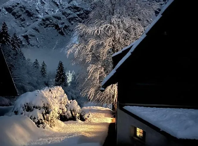 Red Beech - An Alpine Near 샬레 *