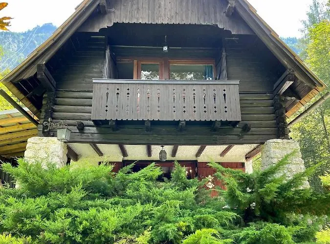 Red Beech - An Alpine Near *