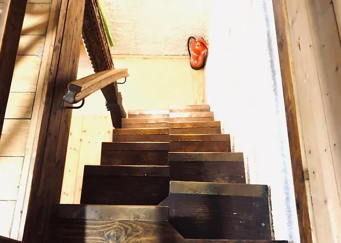 Red Beech - An Alpine Near 샬레 보히니