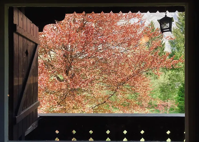 Red Beech - An Alpine Near Chalet