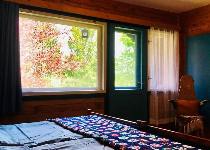 Red Beech - An Alpine Near Chalet Bohinj