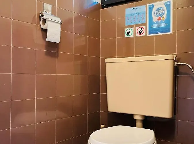 Red Beech - An Alpine Near 보히니