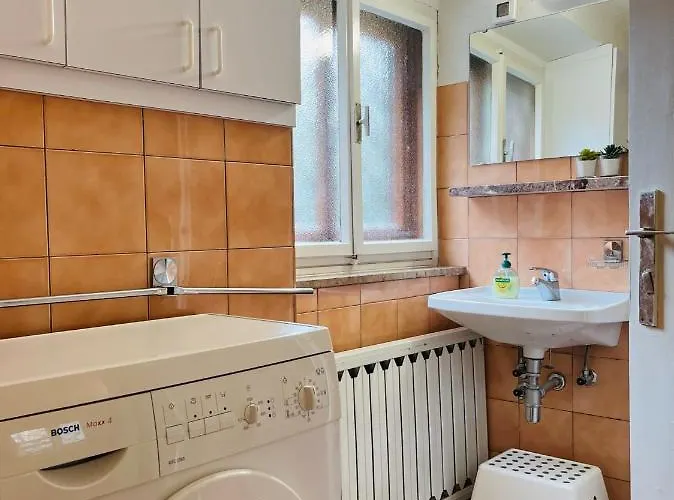 Red Beech - An Alpine Near Bohinj